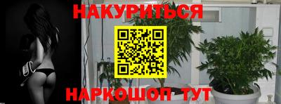 крисы Ковров