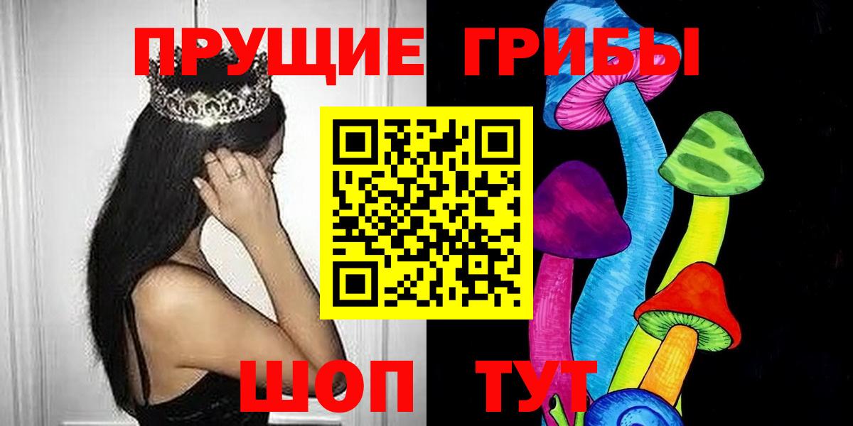 Галлюциногенные грибы Psilocybe  Вход с VPN  Краснознаменск 